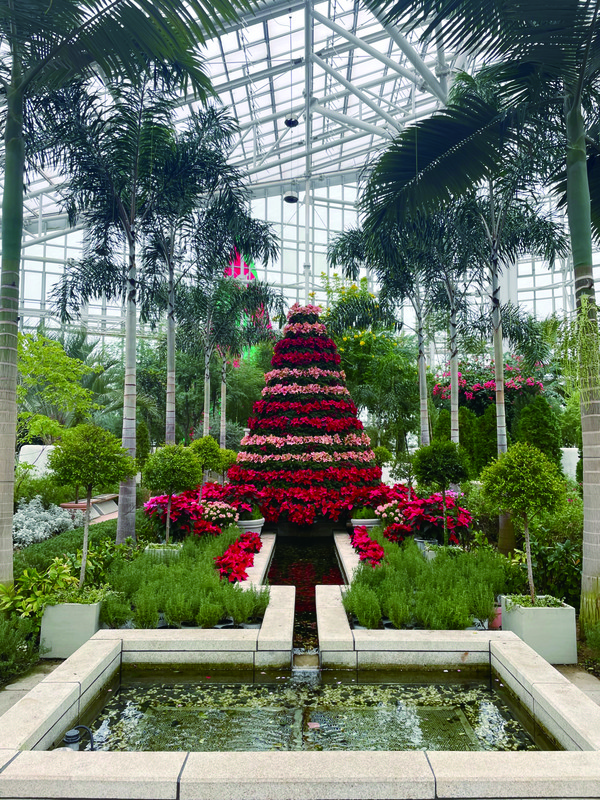 2024 국립세종수목원 트리