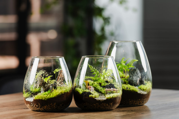 유태욱 대표가 생산하는 테라리움 제품